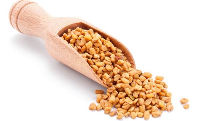 fenugreek-seeds-are-good-for-hair-growth-1