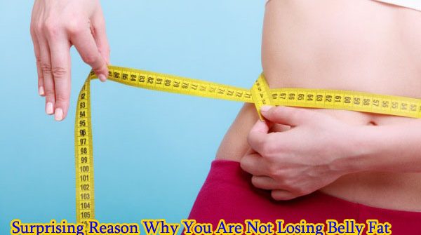 The Surprising Reason Why You Are Not Losing Belly Fat